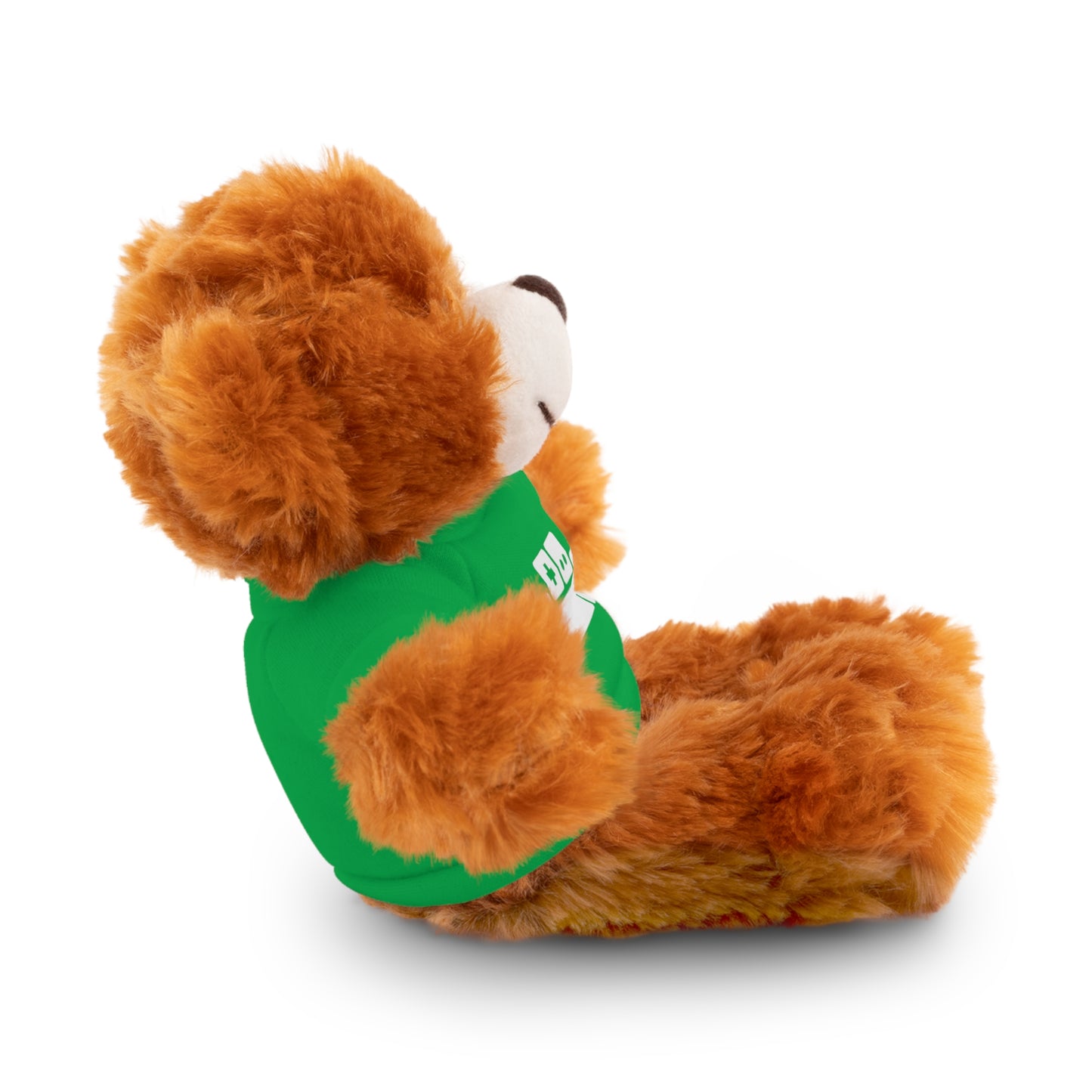 Stuffed Teddy Bear or Peter Rabbit