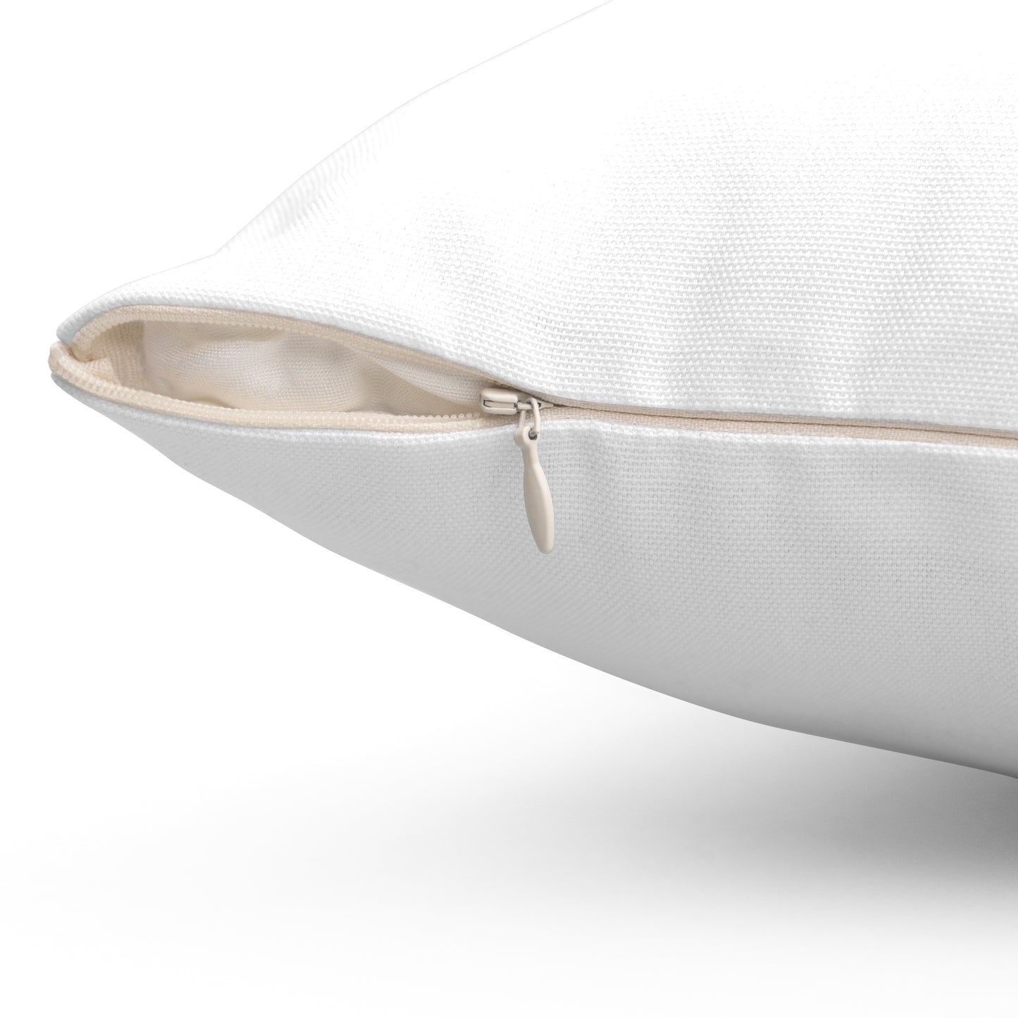 Two-sided Basement Pillow (GhostCat and BAM! designs)