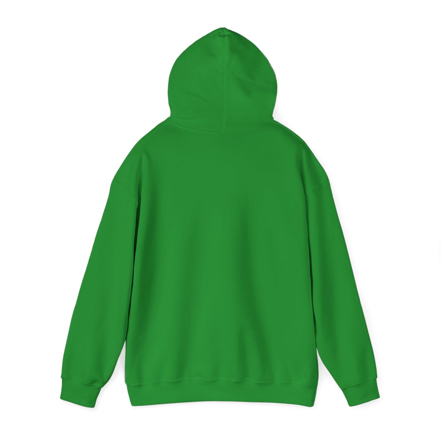 Basement Logo Adult Unisex Hoodie (green couch)