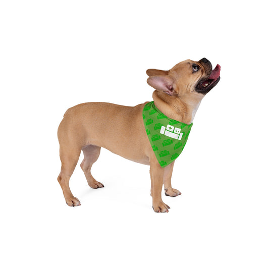 Basement Couch Pet Bandana!