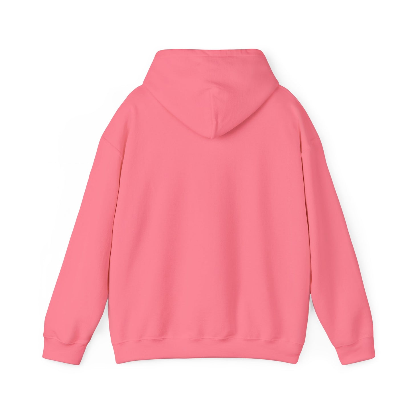 Basement Logo Adult Unisex Hoodie (white couch)