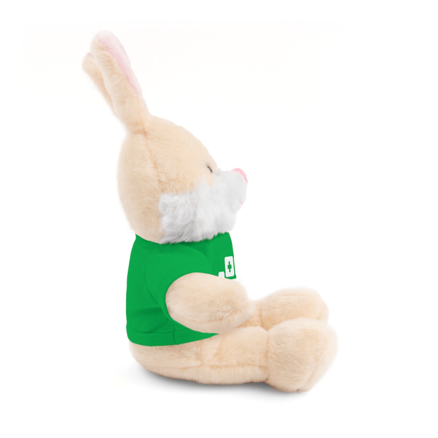 Stuffed Teddy Bear or Peter Rabbit